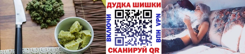 Купить где  Приозерск  Canna-Cookies конопля 