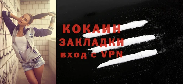 стафф Вязьма
