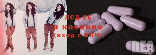 стафф Вязьма