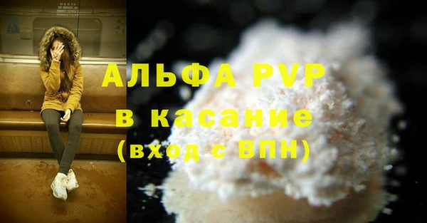 стафф Вязьма