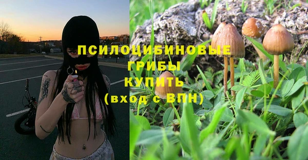 jwh Вяземский