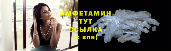 стафф Вязьма