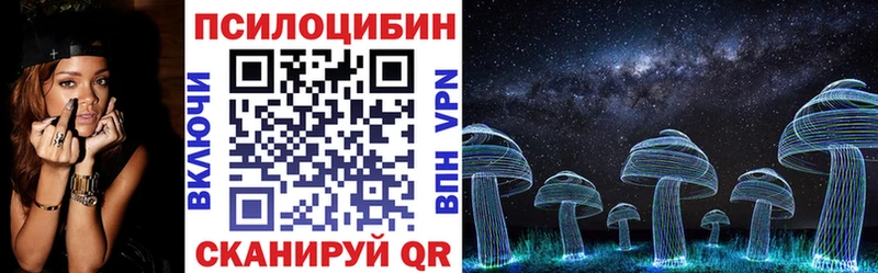 Купить закладки  Приозерск  Псилоцибиновые грибы ЛСД 